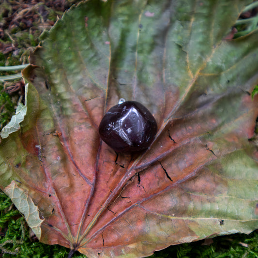 Ein runder Granat-Anhänger mit silberner Fassung, kunstvoll auf einem großen, herbstlichen Blatt arrangiert, das auf moosbedecktem Boden liegt.