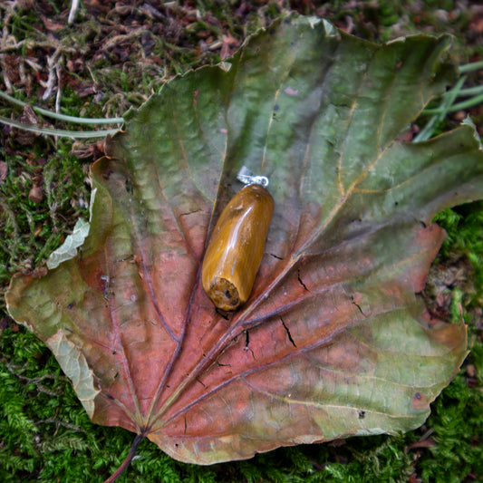 Ein länglicher Tigerauge-Anhänger mit silberner Fassung, kunstvoll auf einem großen, herbstlichen Blatt arrangiert, das auf moosbedecktem Boden liegt.