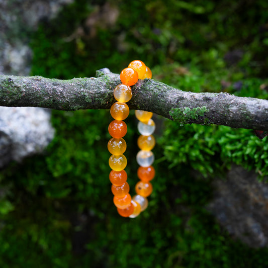 Ein Armband aus Karneol-Perlen, elegant drapiert über einen moosbedeckten Ast, mit natürlichem Hintergrund aus Felsen und Pflanzen.