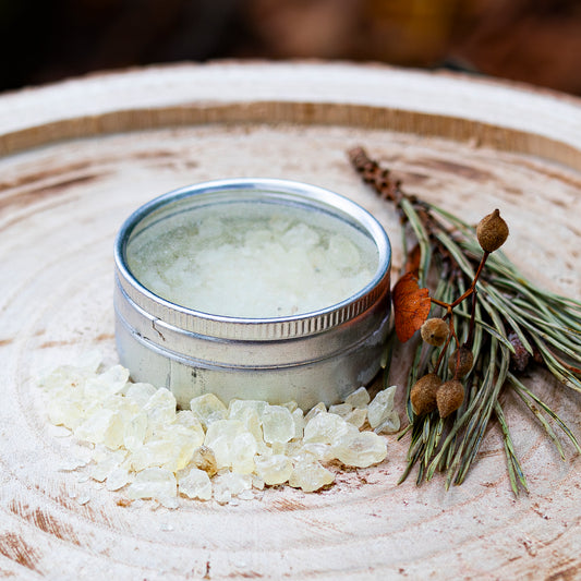 Silberne Dose mit geöffnetem Deckel, gefüllt mit Dammar-Harz, auf einer Holzscheibe arrangiert, umgeben von verstreuten Harzstücken und einem Bündel aus Tannenzweigen und getrockneten Pflanzen.