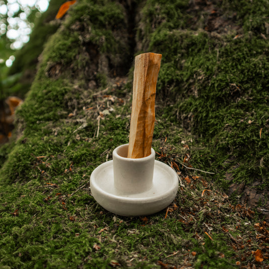 Ein Palo-Santo-Holzstick, aufrecht in einem minimalistischen weißen Halter platziert, auf einem moosbedeckten Waldboden präsentiert.