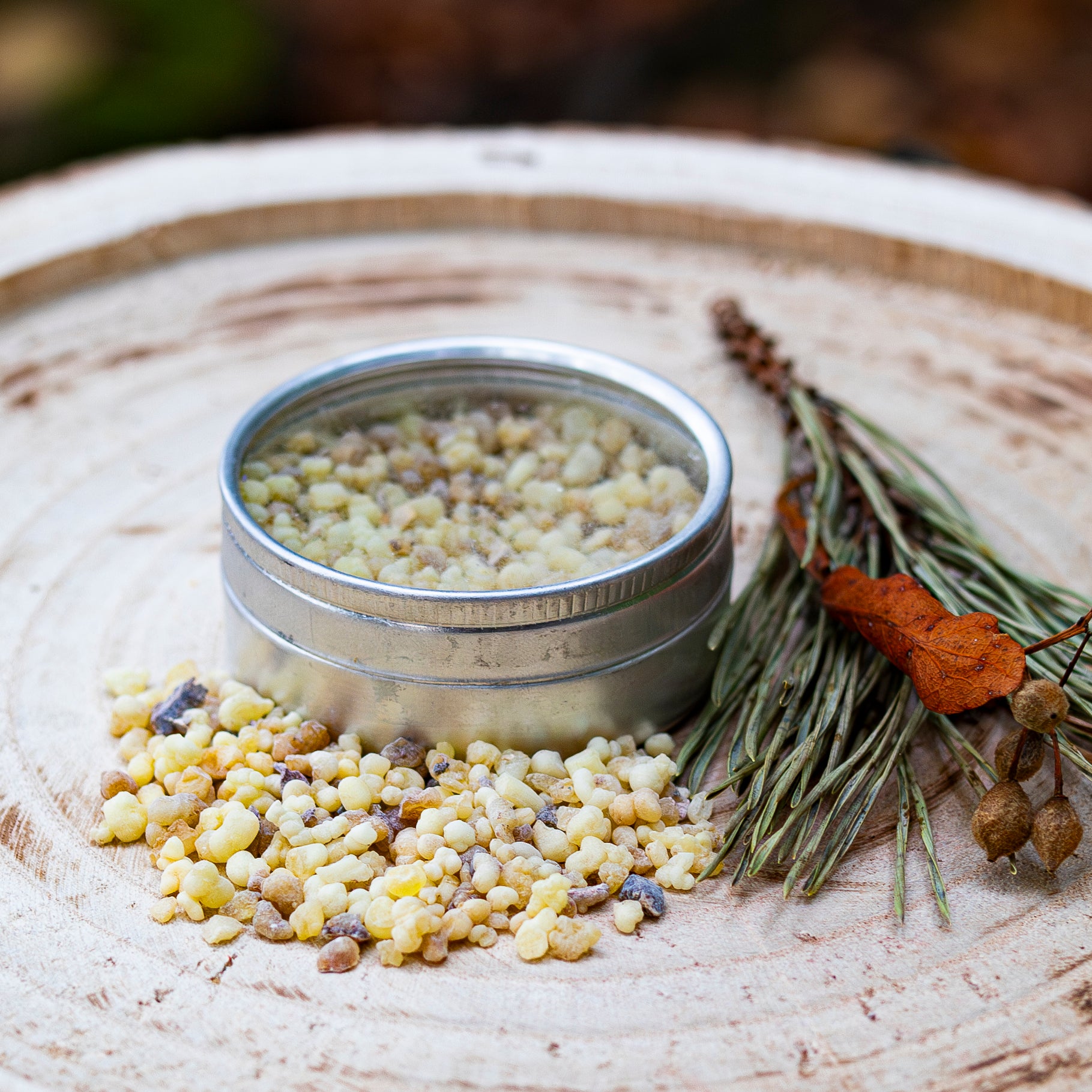 Silberne Dose mit geöffnetem Deckel, gefüllt mit Olibanum-Harz, dekorativ mit verstreuten Harzstücken und einem kleinen Tannenzweig-Bündel auf einer Holzscheibe präsentiert.