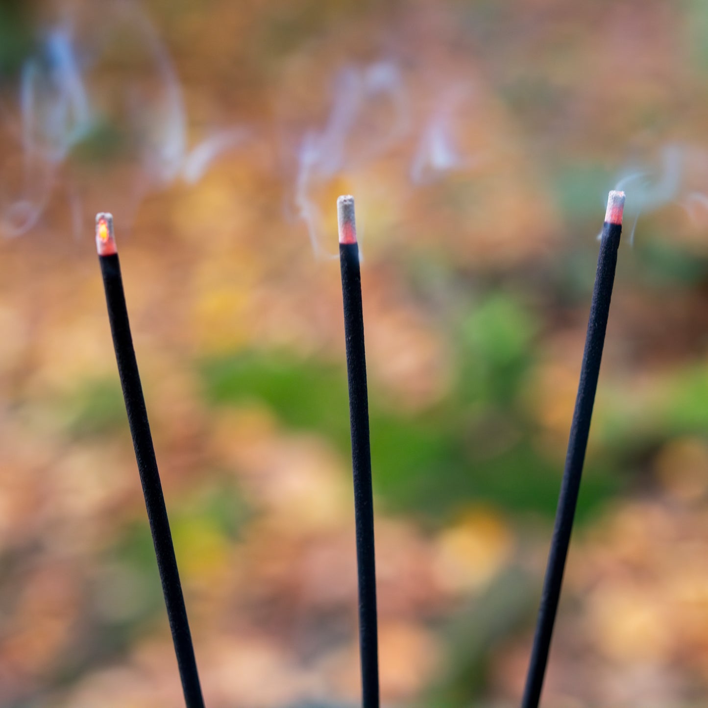 Nahaufnahme von brennenden Räucherstäbchen, aus denen feiner Rauch aufsteigt, vor einem herbstlichen, unscharfen Hintergrund.