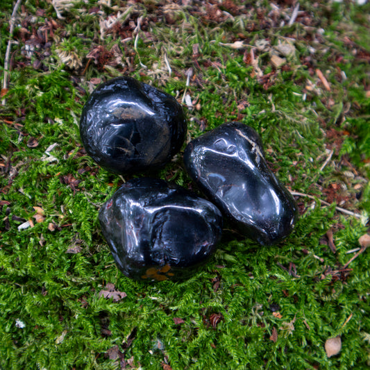 Drei glänzende, polierte Onyx-Trommelsteine auf einem weichen Moosbett, umgeben von natürlichen Waldbodenstrukturen.