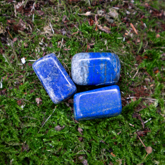 Drei glänzende, polierte Lapislazuli-Trommelsteine auf einem weichen Moosbett, umgeben von natürlichen Waldbodenstrukturen.