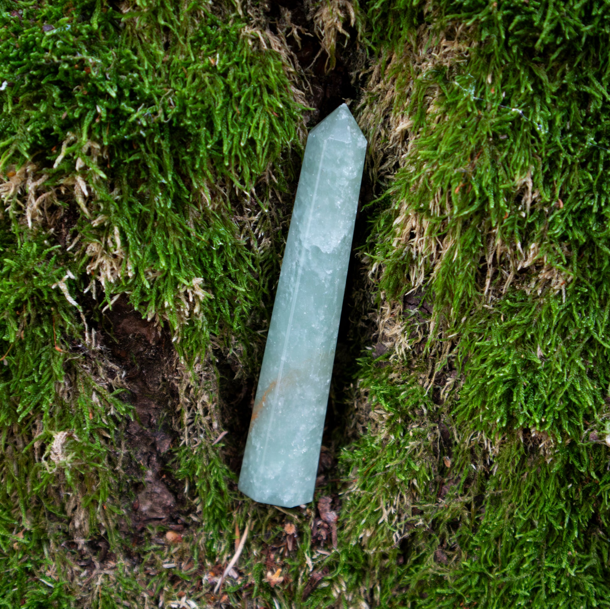 Ein schlanker, polierter Aventurin-Obelisk, auf moosbedecktem Boden platziert, eingebettet in eine natürliche Umgebung aus üppigem Grün.