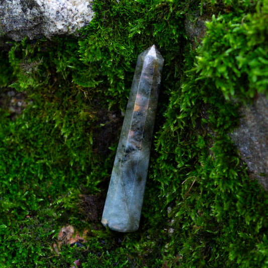 Ein polierter Labradorit-Obelisk mit schimmernden Reflexionen, platziert auf moosbedecktem Boden, umgeben von natürlichem Gestein und üppigem Grün.