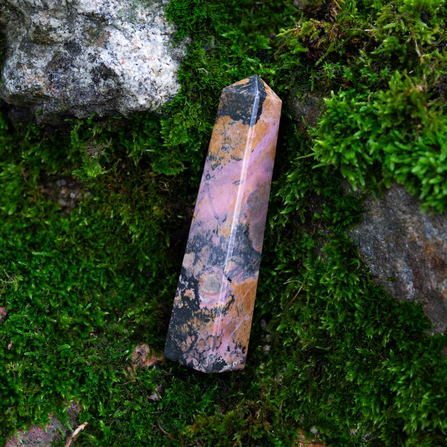 Ein polierter Rhodonit-Obelisk mit rosa und schwarzen Farbnuancen liegt auf einem moosbedeckten Stein in natürlicher Umgebung.